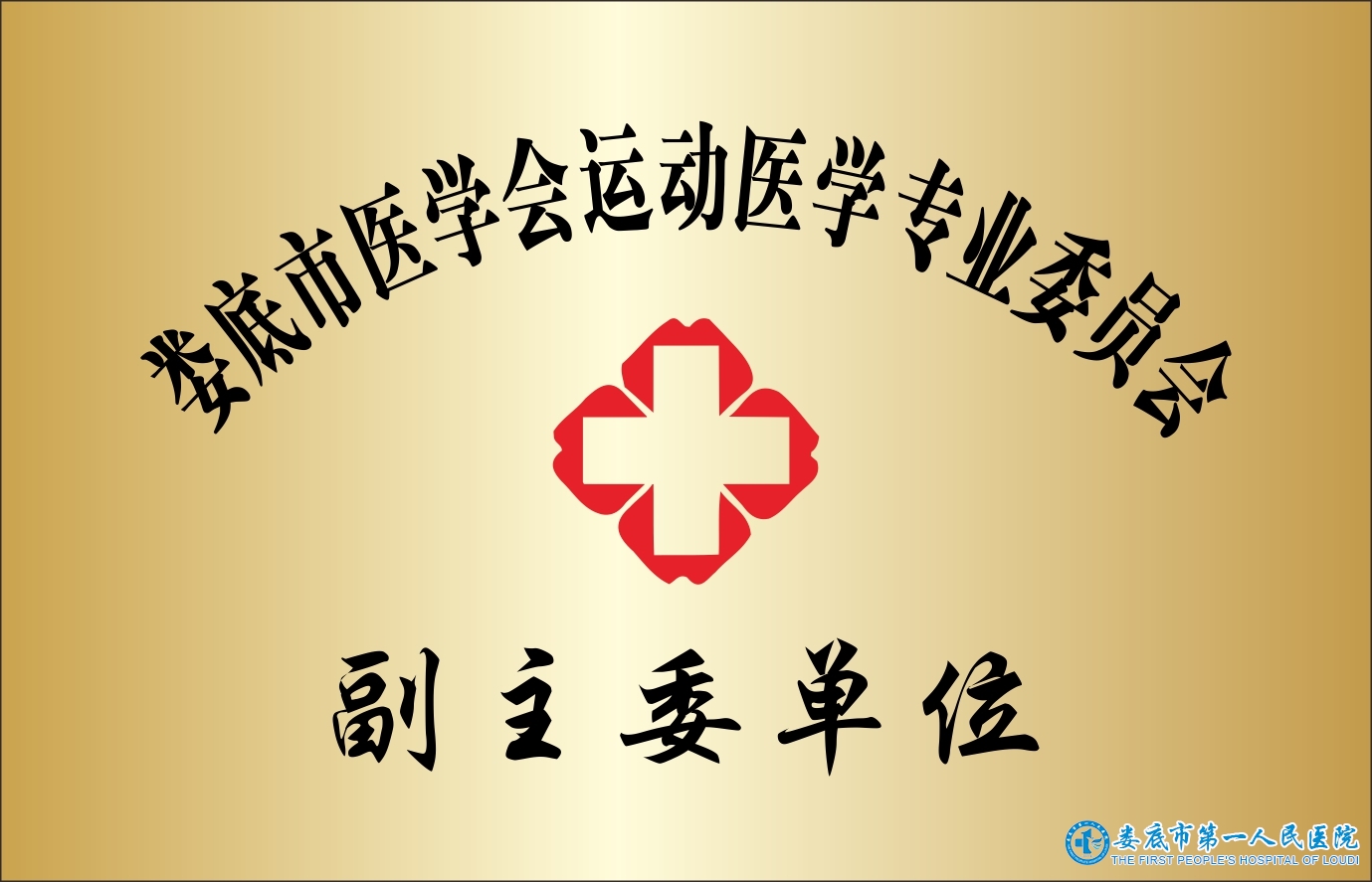 婁底市醫(yī)學(xué)會(huì)運(yùn)動(dòng)醫(yī)學(xué)專業(yè)委員會(huì)